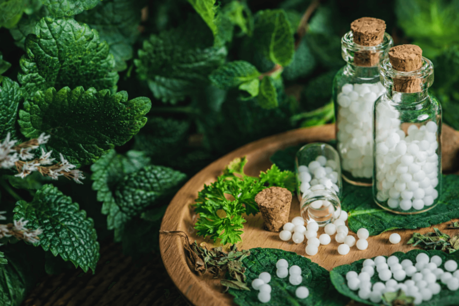 Homeopathy herbs and flowers